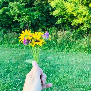 Meet your Posher, Danijela